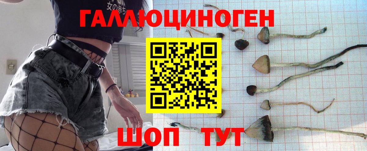 Псилоцибиновые грибы GOLDEN TEACHER Павлово